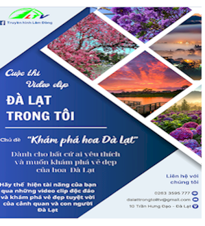 Quảng cáo trang nội dung, cột giữa