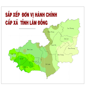 Quảng cáo trang chủ, cột giữa