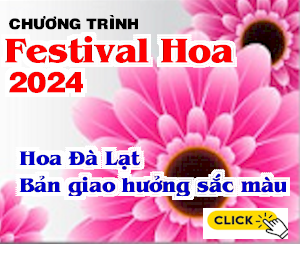 Quảng cáo trang nội dung, cột giữa