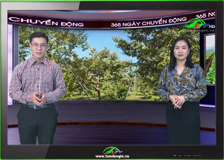 365 ngày chuyển động (22/04/2025)